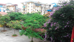 Tháng mười một ơi!