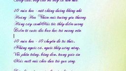 Mái trường 40 mùa hoa