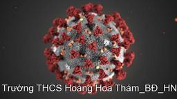 Ba Đình tăng cường chỉ đạo dạy học trực tuyến trong thời gian phòng chống dịch Covid-19