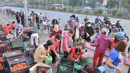 Kêu gọi hỗ trợ bà con nông dân vùng dịch Hải Dương