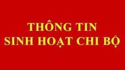 Mẫu đánh giá Chi bộ, đảng viên cuối năm 2020