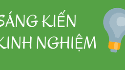 Hướng dẫn SKKN cấp cơ sở