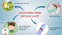 Ba Đình tăng cường triển khai các biện pháp phòng, chống sốt xuất huyết