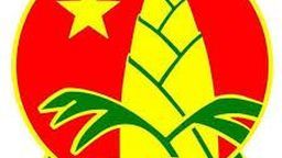 🌟PHONG TRÀO "CHIẾN SỸ NHÍ THỦ ĐÔ DIỆT COVID-19"🌟