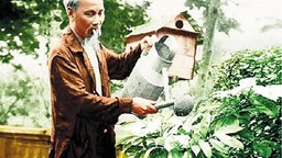 Kế hoạch hưởng ứng Tết trồng cây đời đời nhớ ơn Bác Hồ