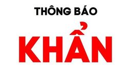 Thông báo khẩn: tìm người đến Siêu thị Vinsmart khu 72ha, Vĩnh Phúc