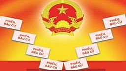 Tích cực tuyên truyền cho cuộc bầu cử; tham gia thi trực tuyến tìm hiểu pháp luật về bầu cử Quốc hội và HĐND các cấp