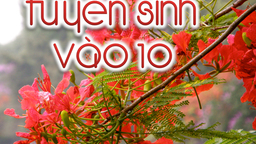 Thông tin về phương án tuyển sinh vào lớp 10 THPT từ năm học 2019-2020