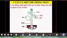 Không để dịch bệnh làm gián đoạn học tập