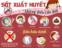 Trường THCS Hoàng Hoa Thám với công tác nâng cao cách phòng chống sốt xuất huyết