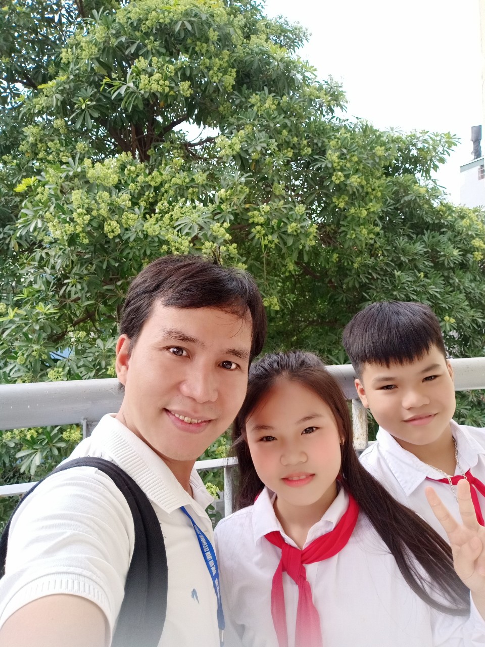 Nồng nàn hoa sữa thơm vương vấn góc sân trường gõ của hành lang lớp học nơi mái trường THCS Hoàng Hoa Thám