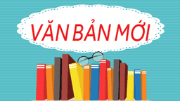 Thực hiện thông tư số 117/2021/TT-BTC của Bộ Tài chính