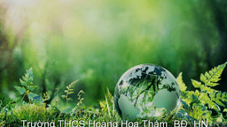 Kê hoạch thực hiện công tác quản lý nhà nước về bảo vệ môi trường