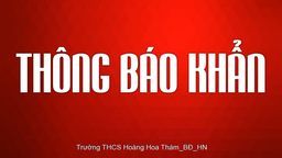 Danh sách, phòng thi, SBD thi HSG cấp quận ngày 23/02/2022
