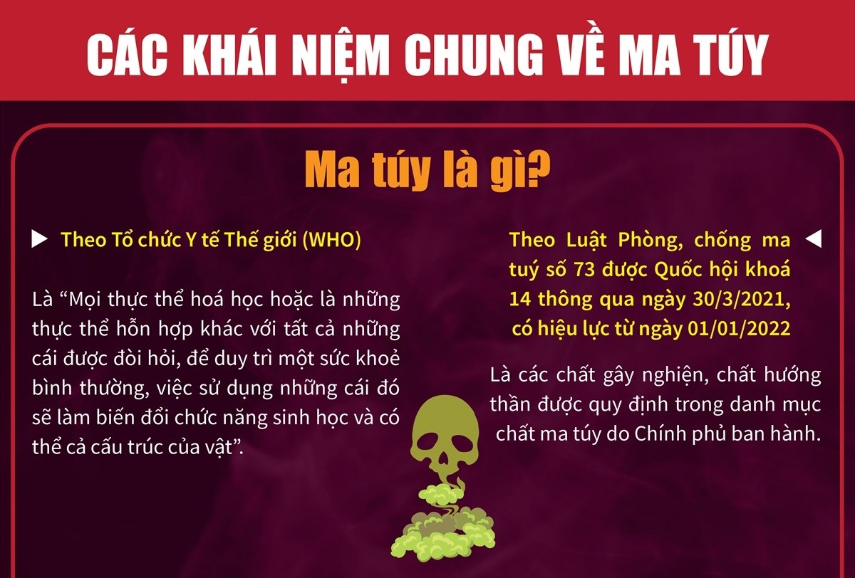 Các khái niệm chung về ma túy