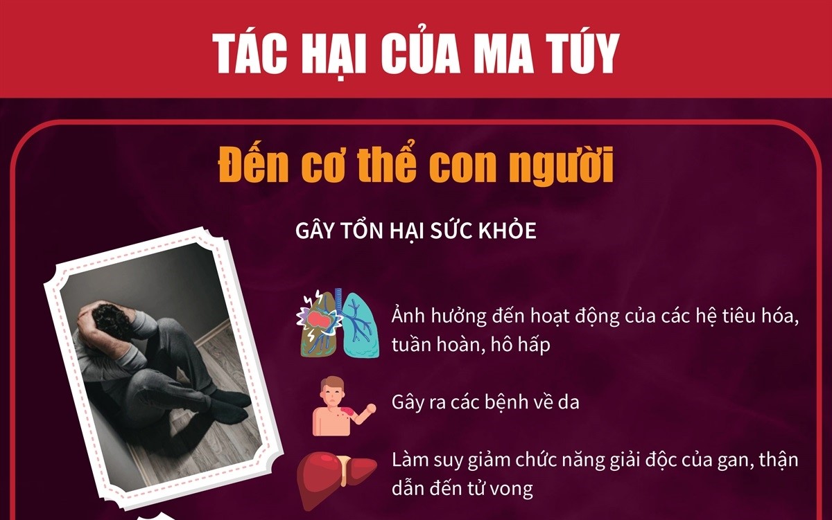 Tác hại của ma túy