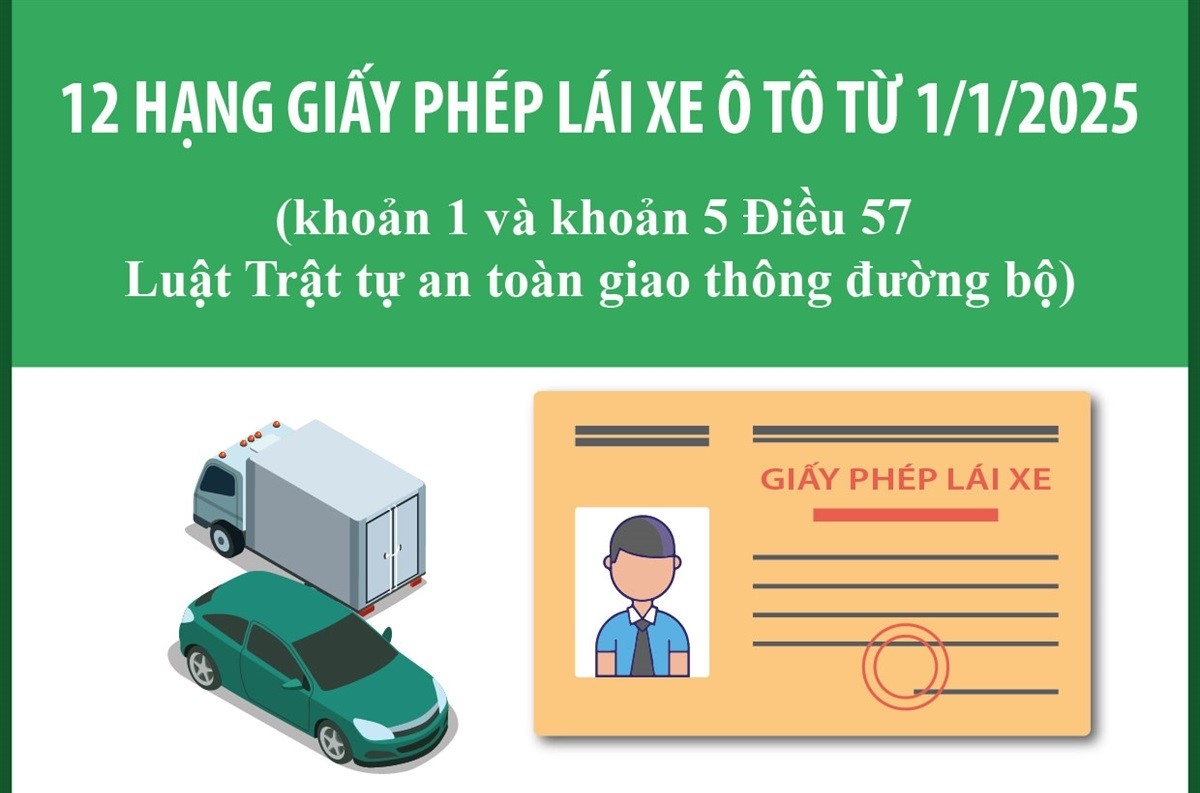 12 hạng giấy phép lái xe ô tô từ 1/1/2025