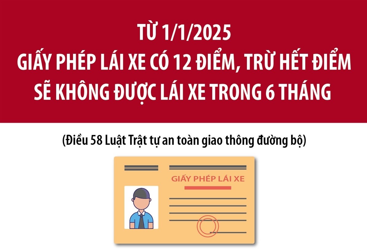 Từ 1/1/2025: Giấy phép lái xe có 12 điểm, trừ hết điểm sẽ không được lái xe trong 6 tháng