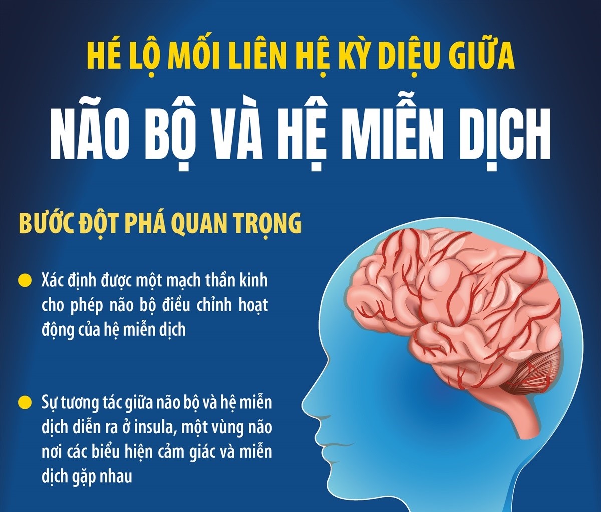 Hé lộ mối liên hệ kỳ diệu giữa não bộ và hệ miễn dịch
