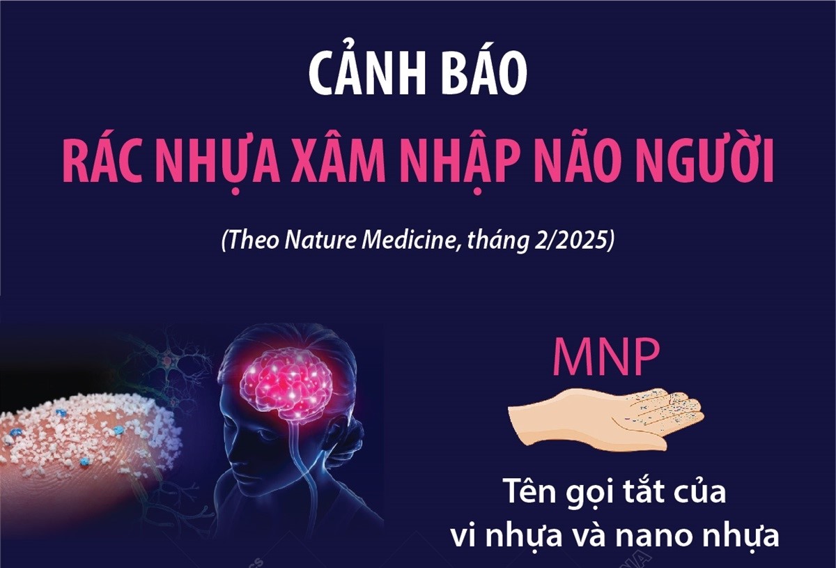 Cảnh báo rác nhựa xâm nhập não người
