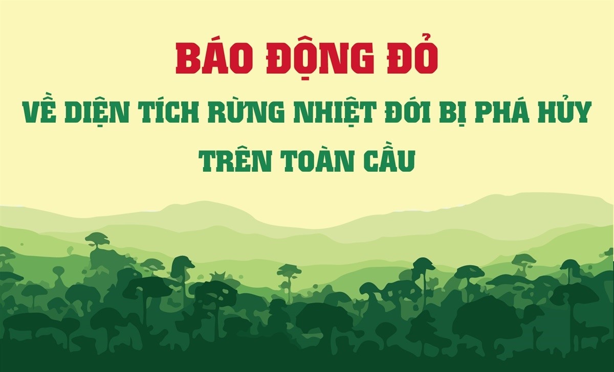 Báo động đỏ về diện tích rừng nhiệt đới bị phá hủy trên toàn cầu