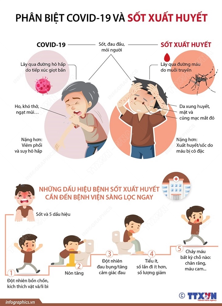 https://huecity.gov.vn/Portals/0/Medias/Nam2021/T10/15.10%20Sot%202%20(1).jpg