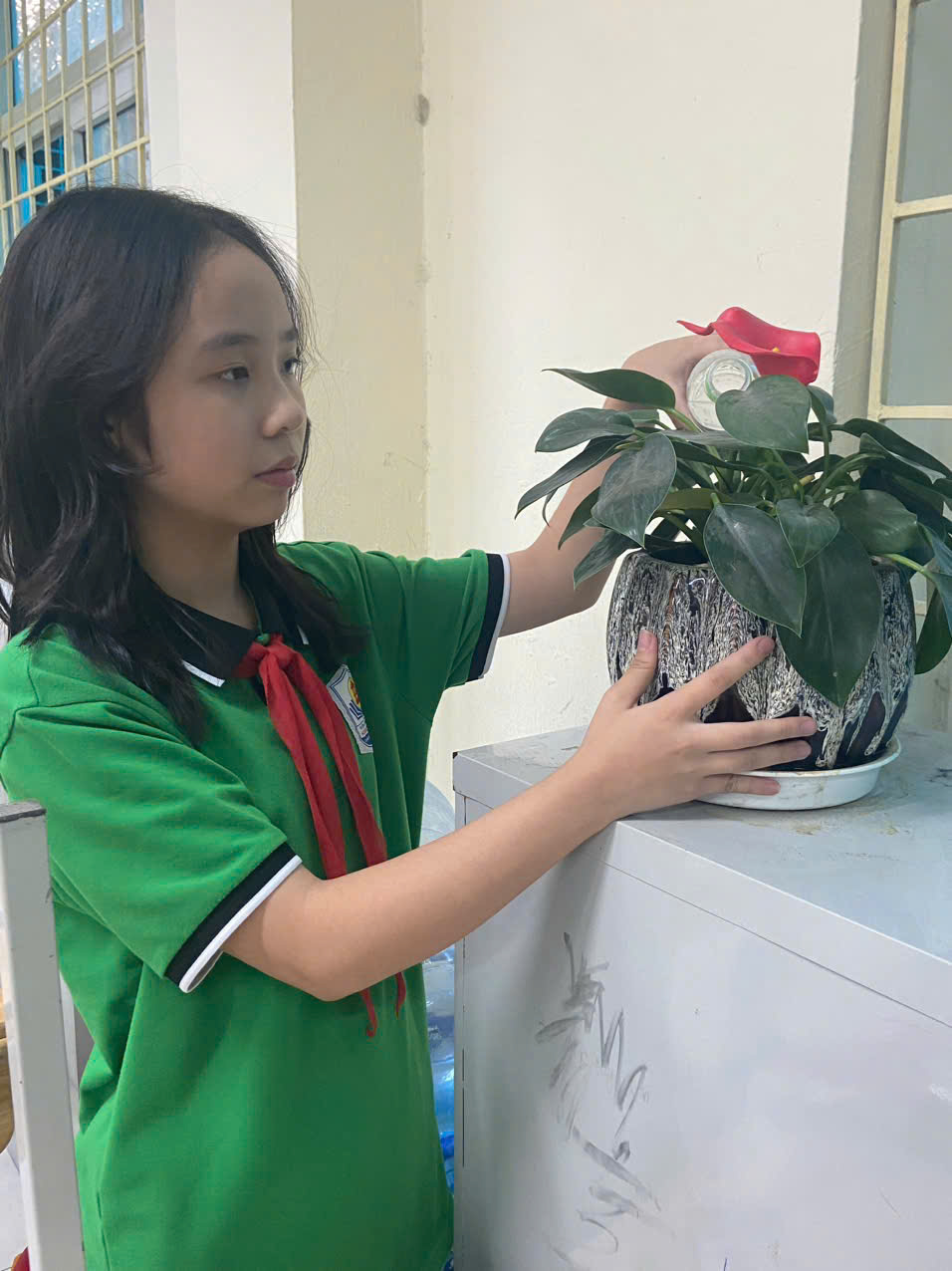 A child in a green shirt

Description automatically generated