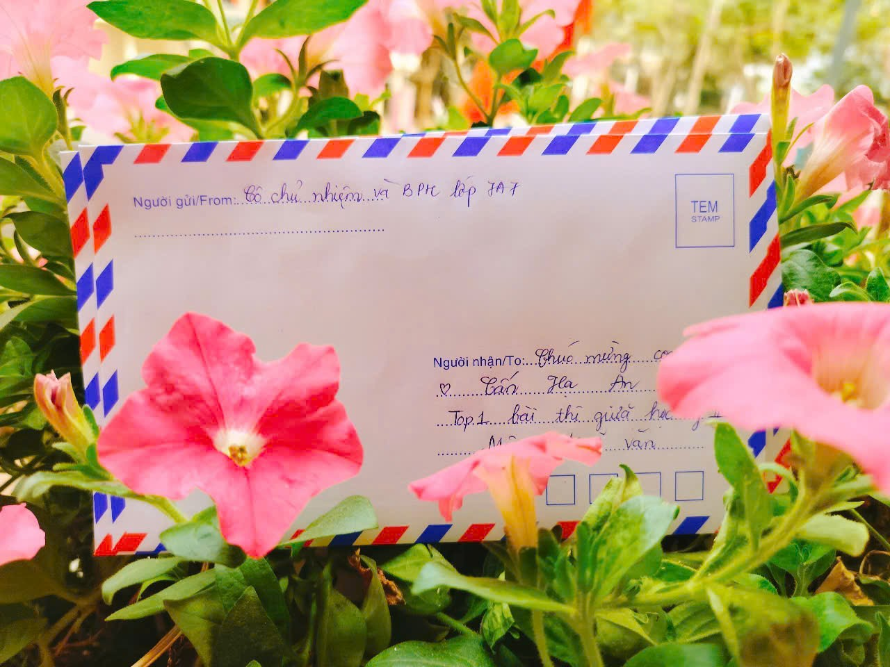 A envelope with flowers in the background

Description automatically generated