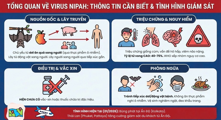 Dịch bệnh do virus Nipah và khuyến cáo của ngành Y tế- Ảnh 2.