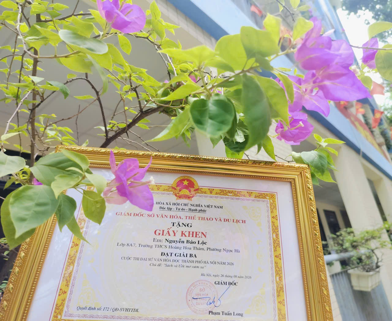 A frame with a certificate on a treeDescription automatically generated