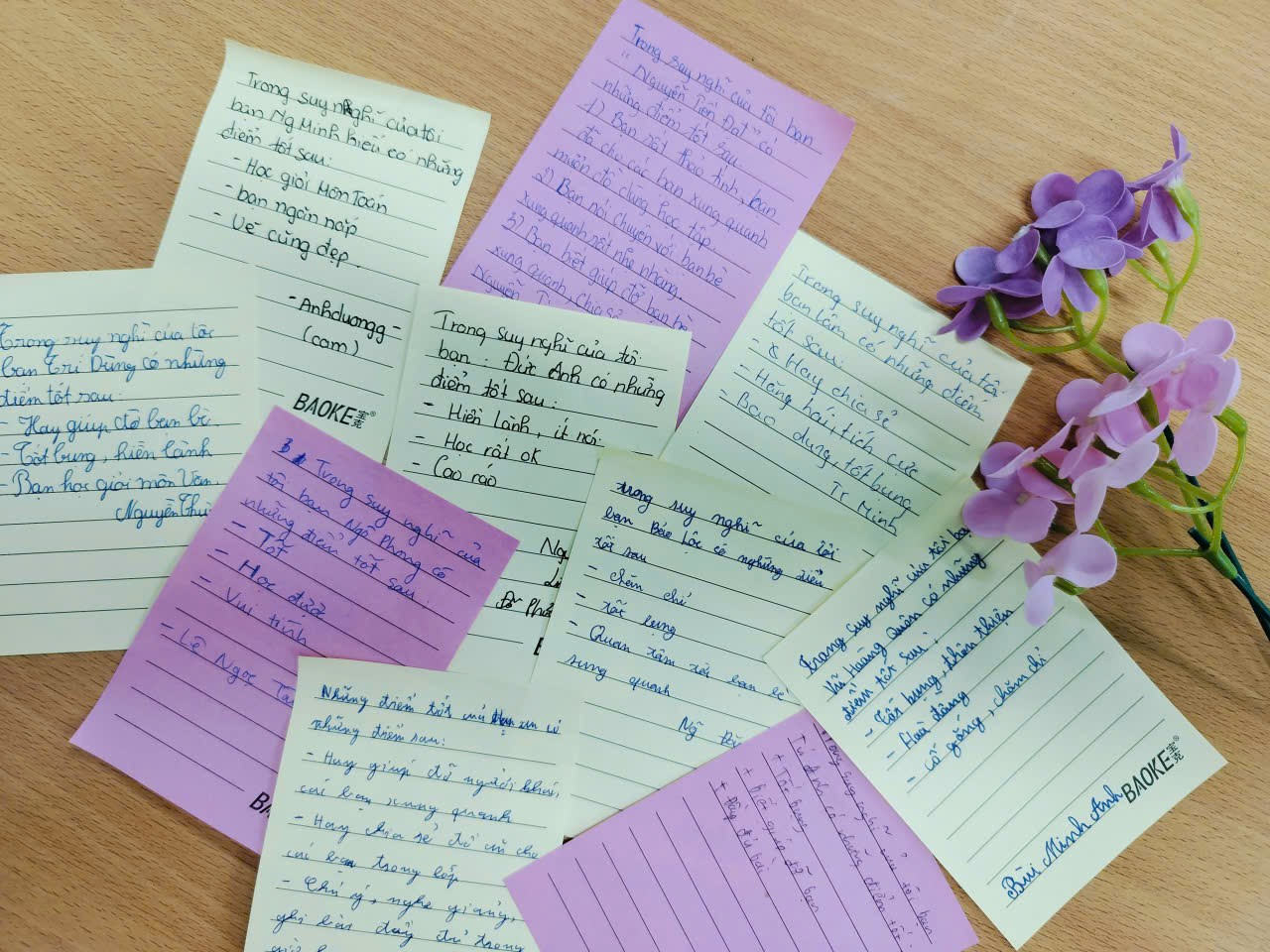 A bunch of purple flowers and notes
Description automatically generated with medium confidence